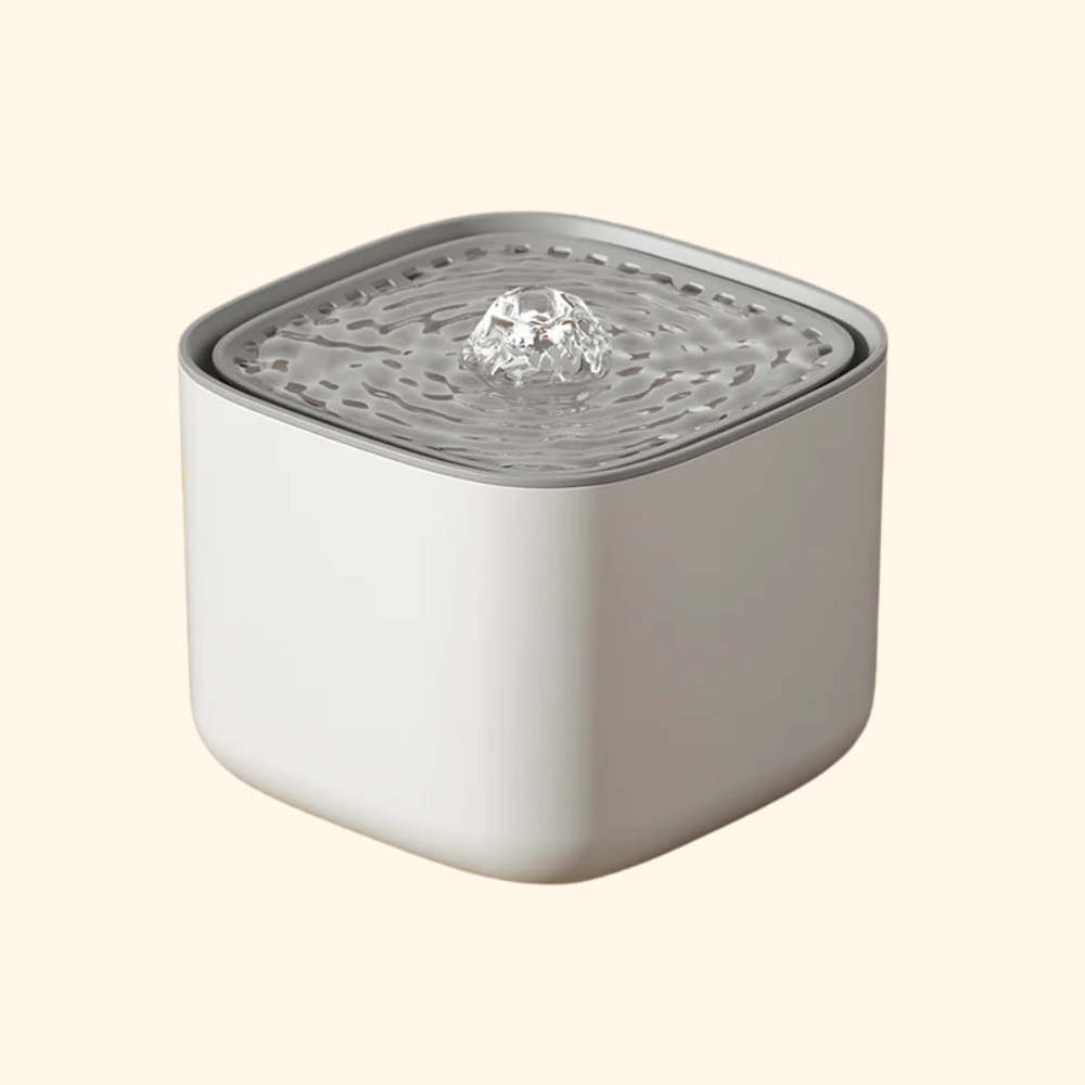 Fontaine d’eau pour chats, Abreuvoir pour chat, Fontaine à eau automatique