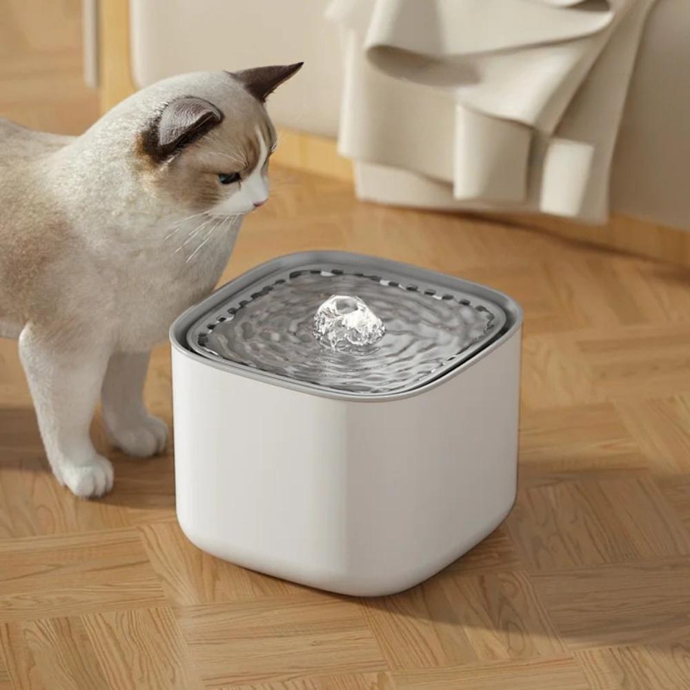 Fontaine d’eau pour chats, Abreuvoir pour chat, Fontaine à eau automatique
