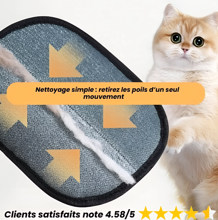 Brosse anti-poils pour chat,  Brosse de toilettage chat, Brosse démêlante chat, Accessoire toilettage chat