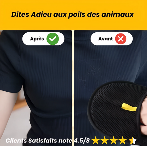 Brosse anti-poils pour chat,  Brosse de toilettage chat, Brosse démêlante chat, Accessoire toilettage chat