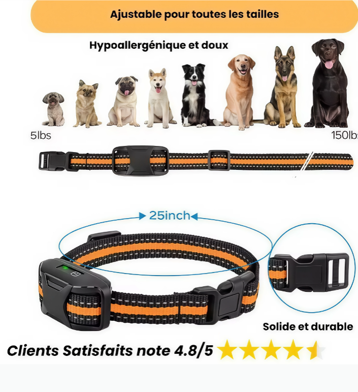 Collier de dressage pour chien, Collier anti-aboiement, Collier de dressage rechargeable
