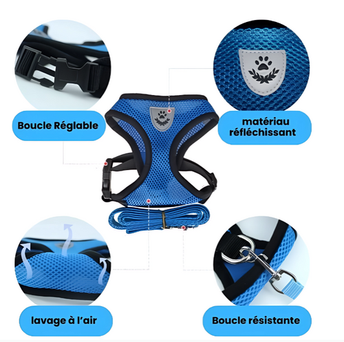 Harnais chien sécurité, Harnais chien anti-traction, Harnais chien réglable