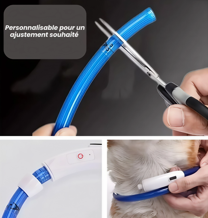Collier LED pour chien, Collier lumineux LED, Collier lumineux rechargeable, Collier lumineux USB