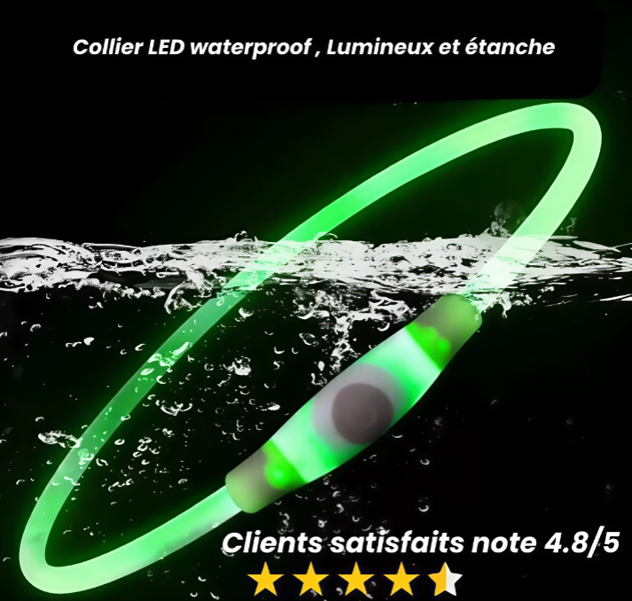 Collier LED pour chien, Collier lumineux LED, Collier lumineux rechargeable, Collier lumineux USB