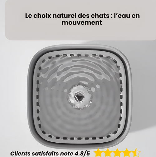 Fontaine d’eau pour chats, Abreuvoir pour chat, Fontaine à eau automatique