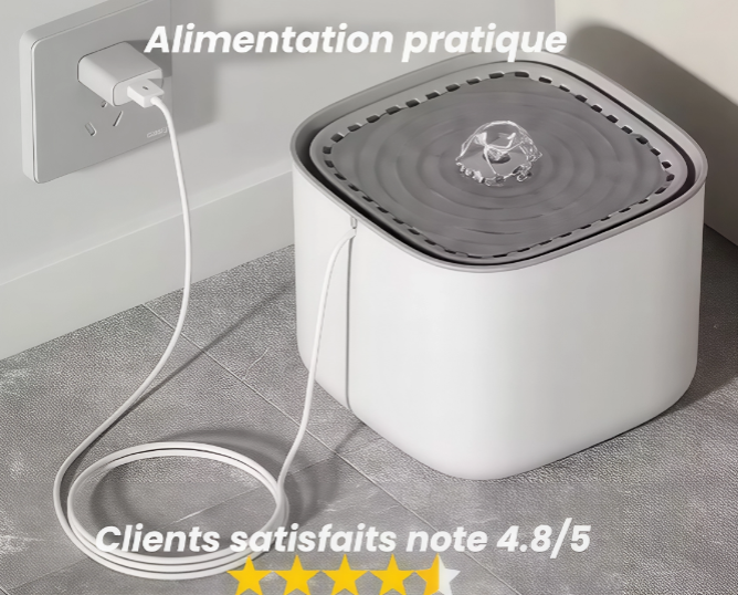 Fontaine d’eau pour chats, Abreuvoir pour chat, Fontaine à eau automatique