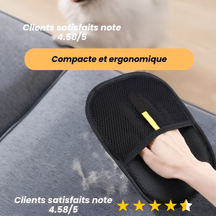 Brosse anti-poils pour chat,  Brosse de toilettage chat, Brosse démêlante chat, Accessoire toilettage chat