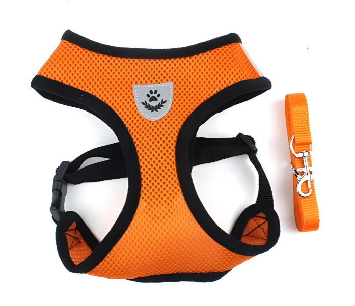 Harnais chien sécurité, Harnais chien anti-traction, Harnais chien réglable