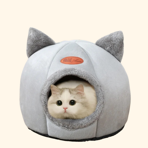 Lit en peluche pour chat, Lit de chat hiver, Coussin douillet chat