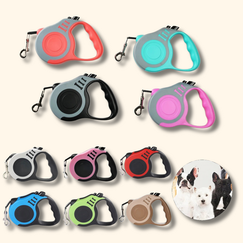 Laisse extensible pour chien, Laisse anti-traction chien, Laisse pour chien