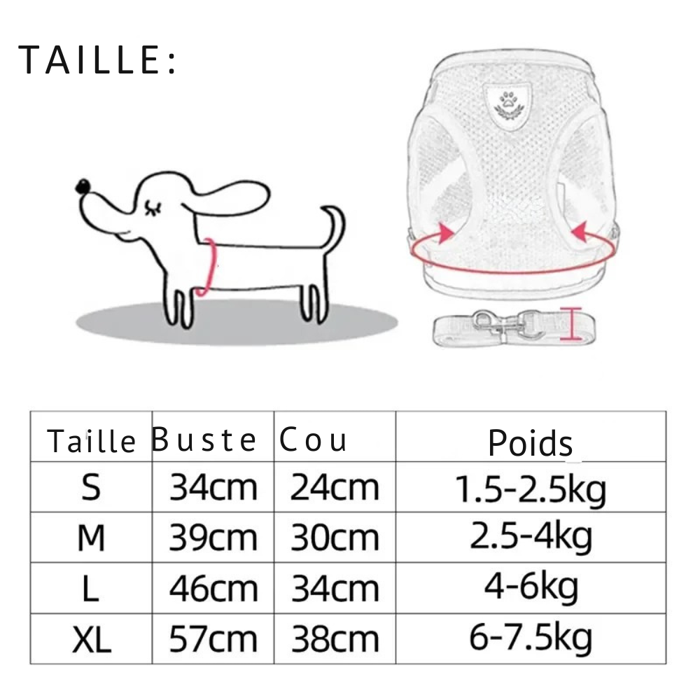 Laisse de dressage en plomb, Laisse de contrôle avec poids, Laisse pour chiens