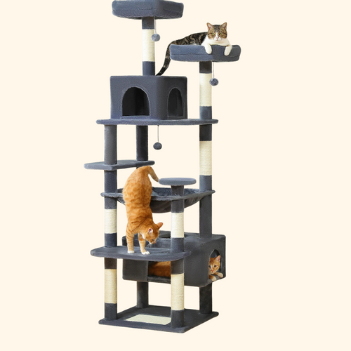 Arbre à chat, Aire de jeu pour chat, Plateau et poteaux pour chat
