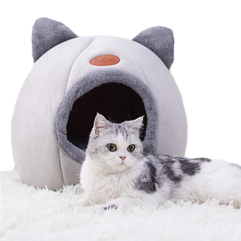 Lit en peluche pour chat, Lit de chat hiver, Coussin douillet chat