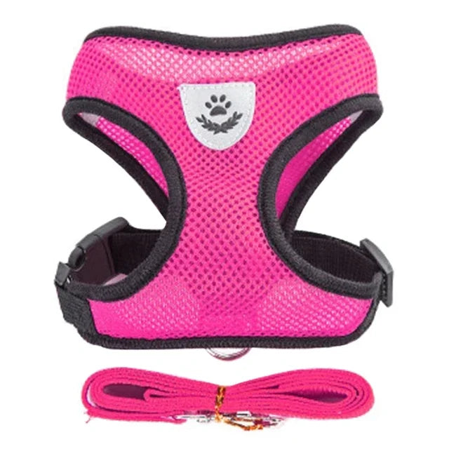 Laisse de dressage en plomb, Laisse de contrôle avec poids, Laisse pour chiens