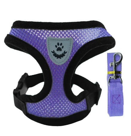 Laisse de dressage en plomb, Laisse de contrôle avec poids, Laisse pour chiens