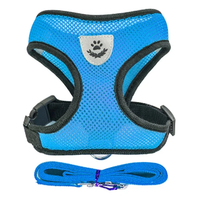 Laisse de dressage en plomb, Laisse de contrôle avec poids, Laisse pour chiens