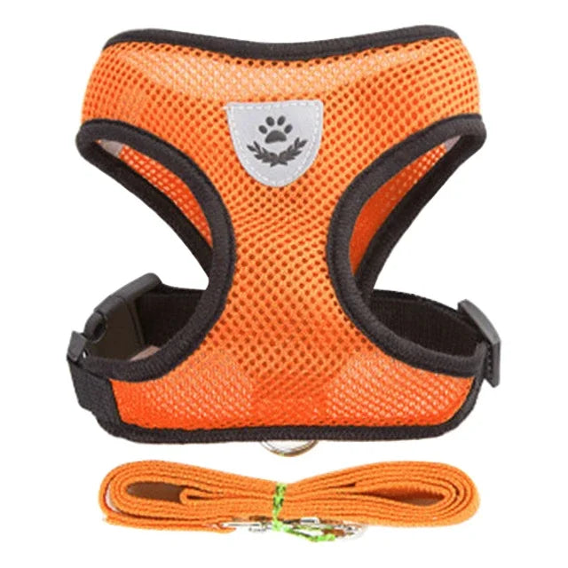 Laisse de dressage en plomb, Laisse de contrôle avec poids, Laisse pour chiens