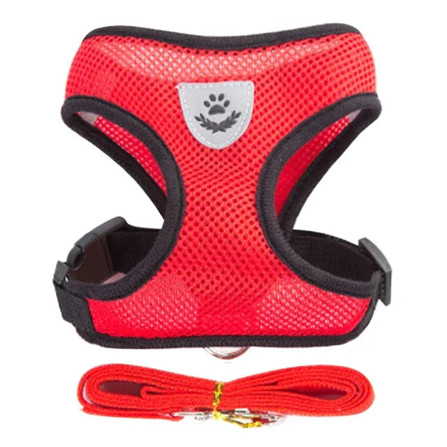 Laisse de dressage en plomb, Laisse de contrôle avec poids, Laisse pour chiens