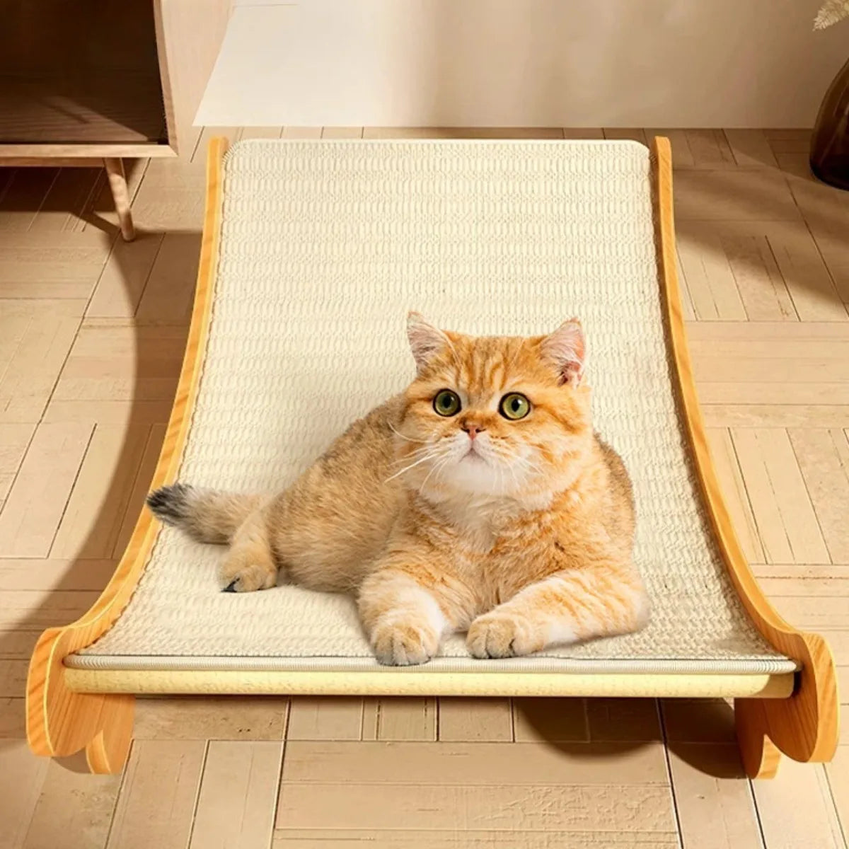 Coussinets à gratter chat, Grattoir pour chat, Accessoire griffes chat