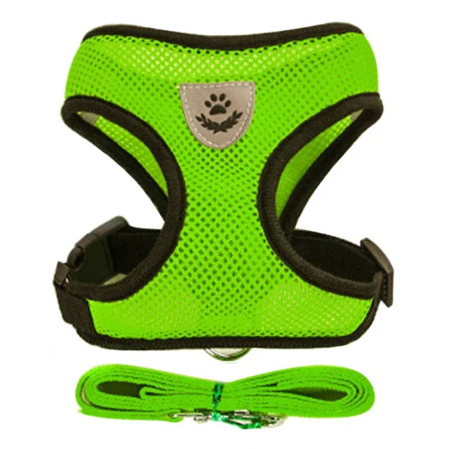 Laisse de dressage en plomb, Laisse de contrôle avec poids, Laisse pour chiens