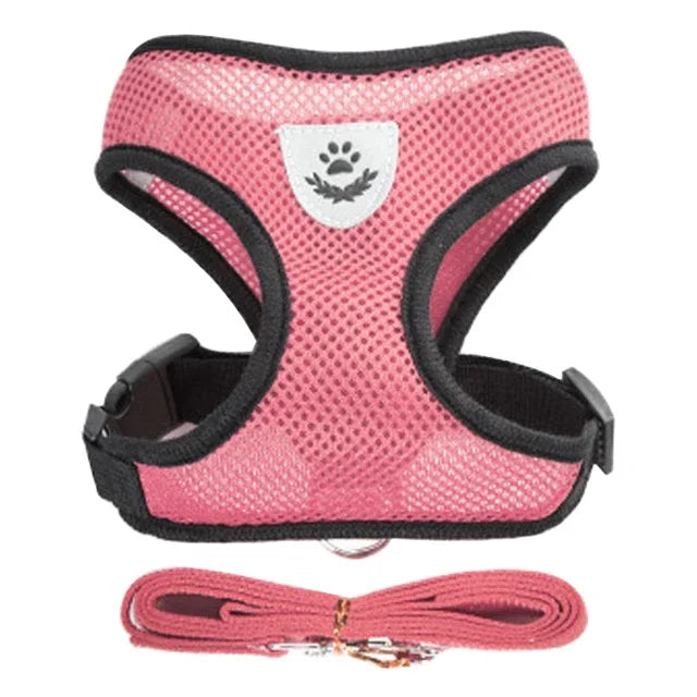 Laisse de dressage en plomb, Laisse de contrôle avec poids, Laisse pour chiens