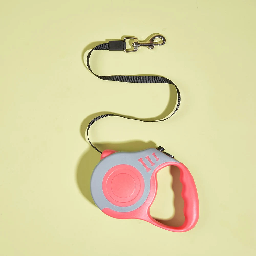 Laisse extensible pour chien, Laisse anti-traction chien, Laisse pour chien