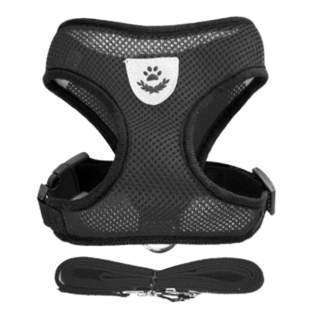 Laisse de dressage en plomb, Laisse de contrôle avec poids, Laisse pour chiens