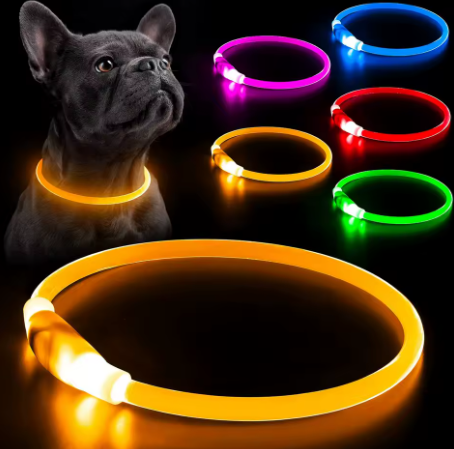 Collier LED pour chien, Collier lumineux LED, Collier lumineux rechargeable, Collier lumineux USB