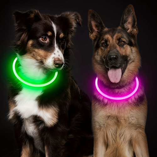 Collier LED pour chien, Collier lumineux LED, Collier lumineux rechargeable, Collier lumineux USB
