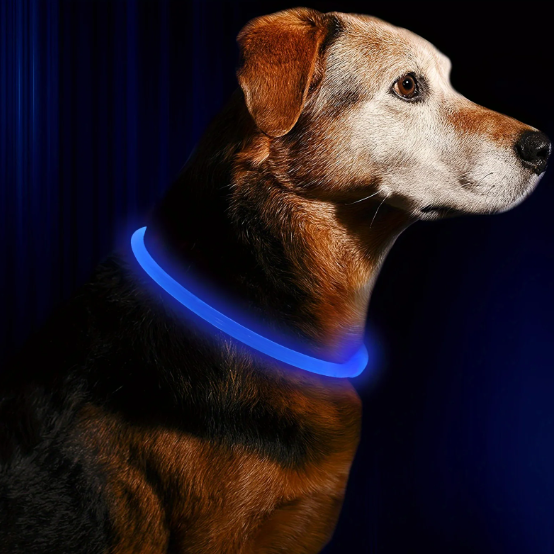 Collier LED pour chien, Collier lumineux LED, Collier lumineux rechargeable, Collier lumineux USB