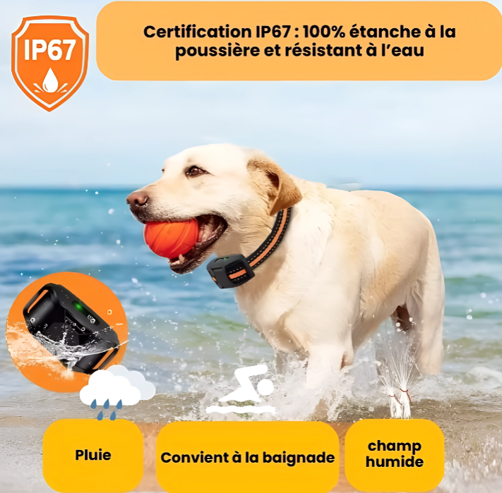 Collier de dressage pour chien, Collier anti-aboiement, Collier de dressage rechargeable
