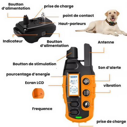 Collier de dressage pour chien, Collier anti-aboiement, Collier de dressage rechargeable