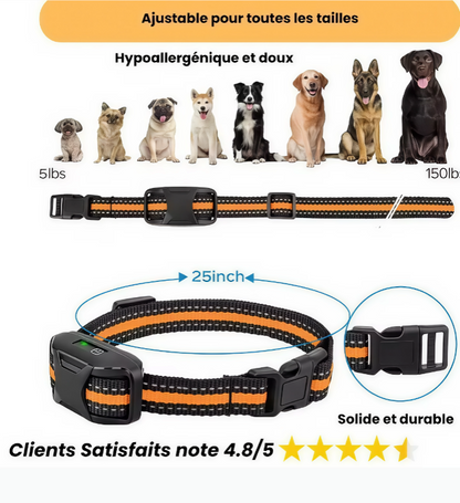 Collier de dressage pour chien, Collier anti-aboiement, Collier de dressage rechargeable