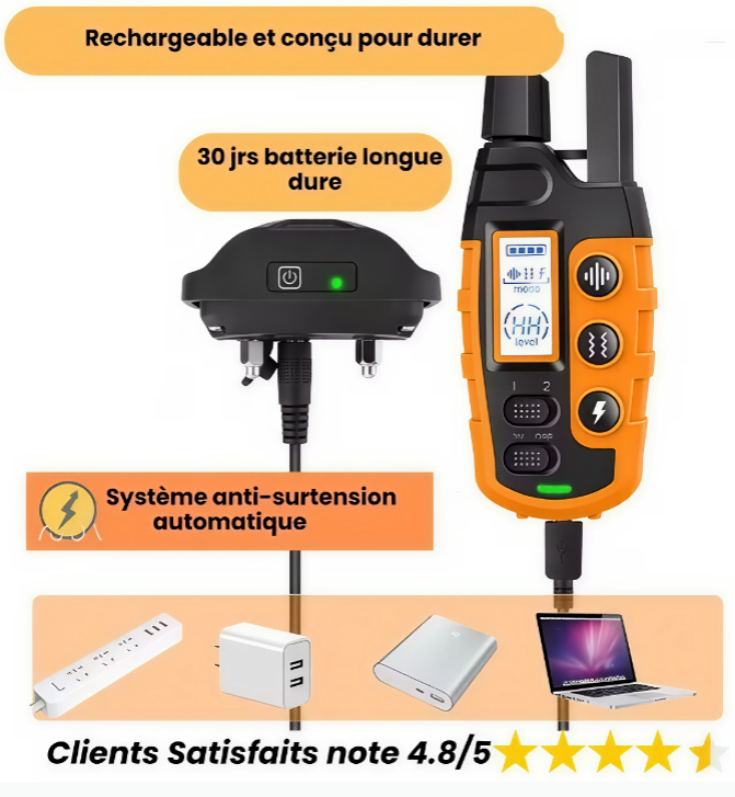 Collier de dressage pour chien, Collier anti-aboiement, Collier de dressage rechargeable