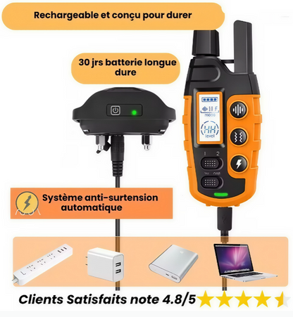 Collier de dressage pour chien, Collier anti-aboiement, Collier de dressage rechargeable
